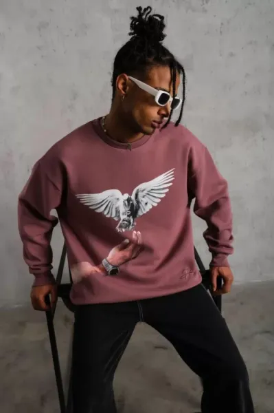 Erkek Güvercin Baskılı Sweatshirt - Gül Kurusu